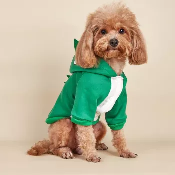 Adorable Dinosaur Dog Costume: Fit, Comfort & DIY Tips
